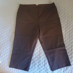 Capri length, wide leg slacks, lightly used.